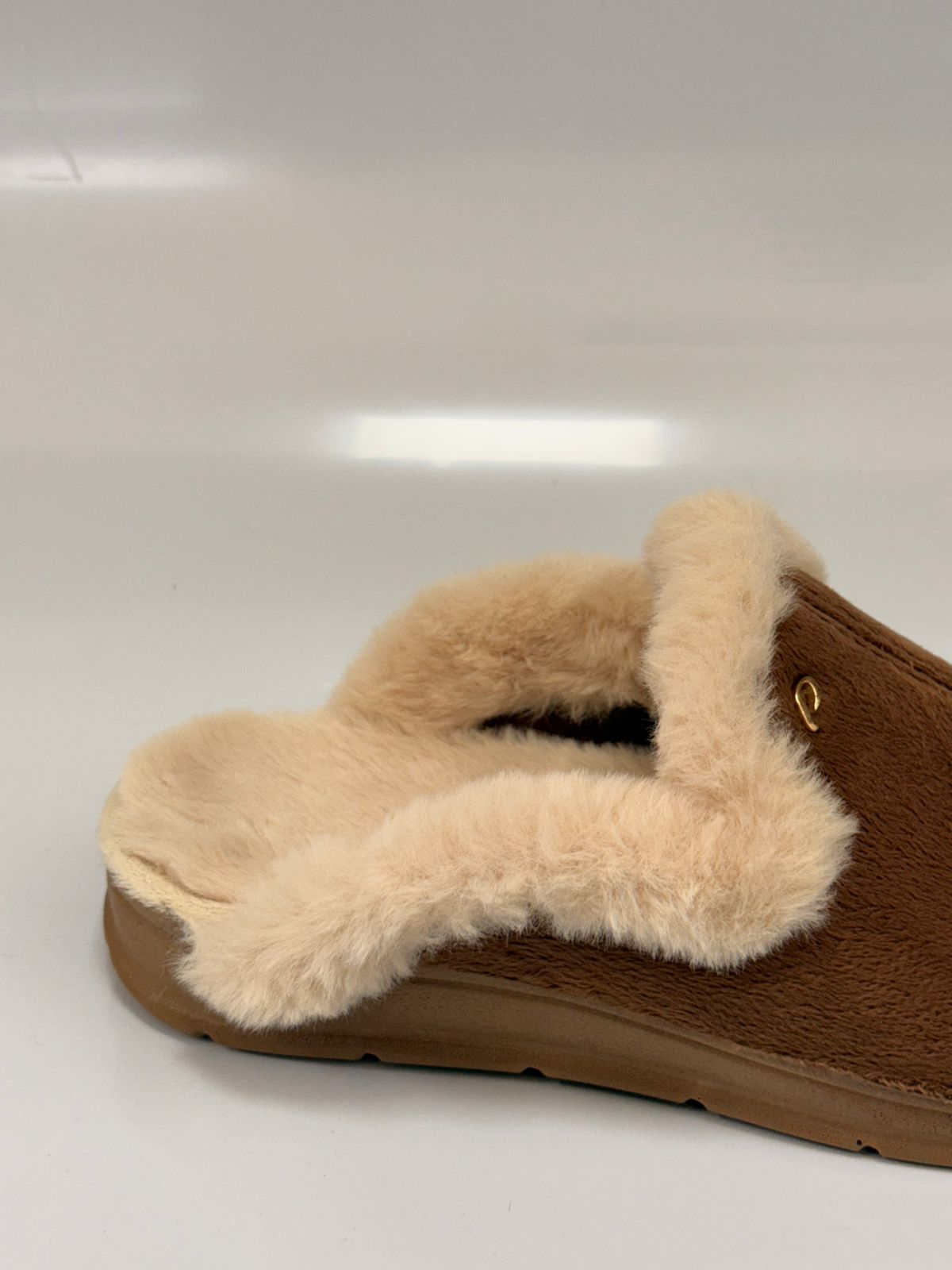 WhatsApp Image 2026-02-05 at 15.41.34