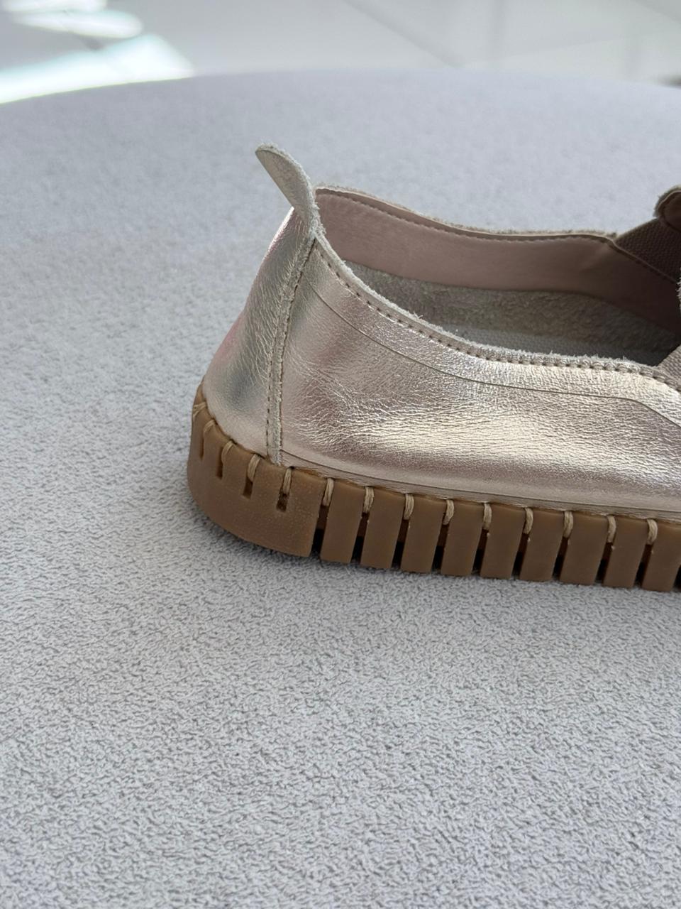 WhatsApp Image 2026-02-12 at 10.10.37