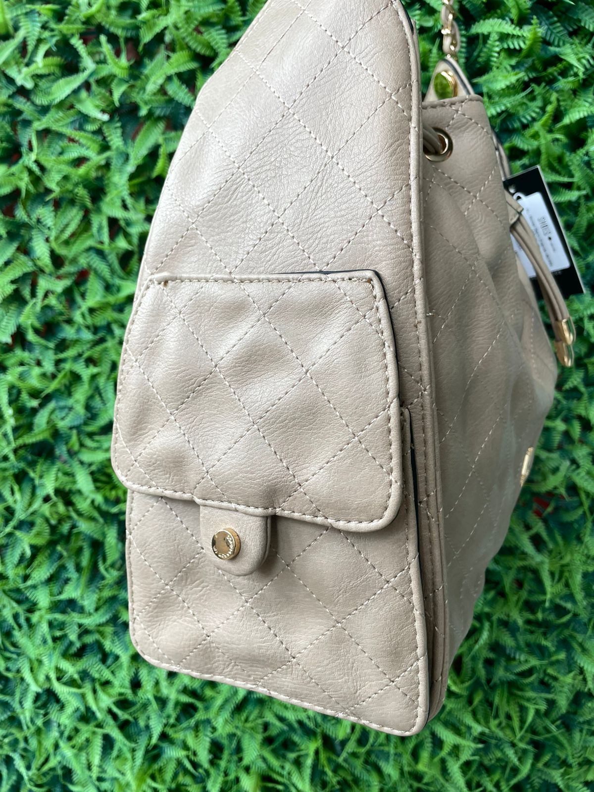 WhatsApp Image 2026-02-24 at 11.10.13 (1)