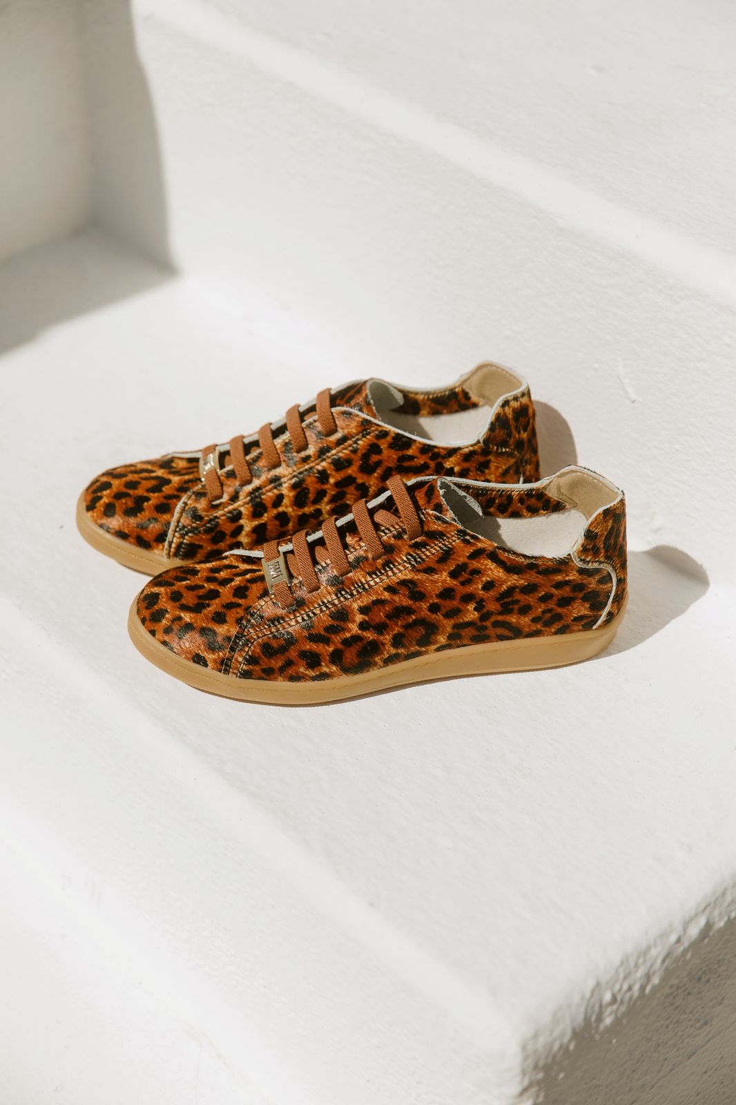 WhatsApp Image 2026-03-24 at 12.59.46 (1)